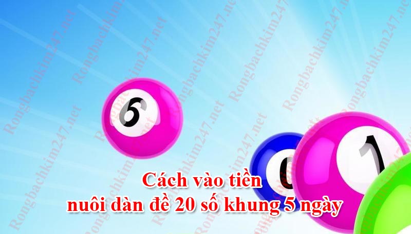 Cách vào tiền nuôi dàn đề 20 số khung 5 ngày luôn lãi