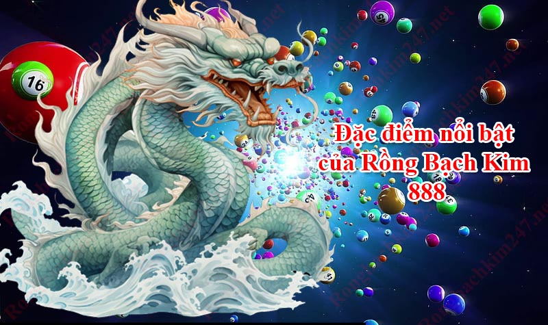 Những đặc điểm nổi bật của Rồng Bạch Kim 888