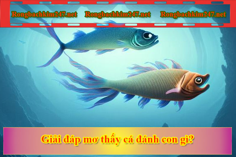 Giải đáp mơ thấy cá đánh con gì?