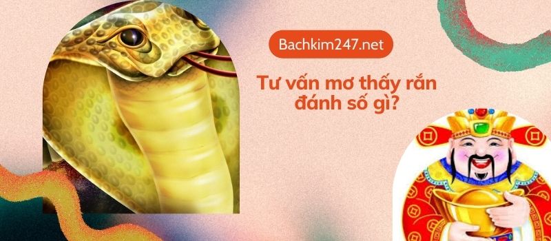 Tư vấn mơ thấy rắn đánh số gì? Trúng lớn