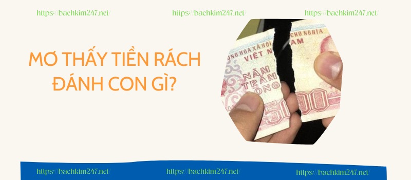 Mơ thấy tiền rách đánh con gì?