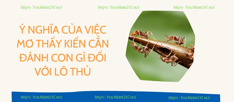 Ý nghĩa của việc mơ thấy kiến cắn đánh con gì đối với lô thủ