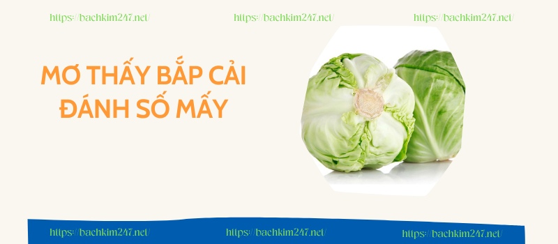 Mơ thấy bắp cải đánh số mấy? Đánh con lô nào đẹp