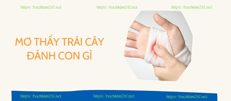 Mơ thấy bị thương đánh con gì