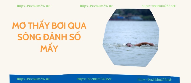 Mơ thấy bơi qua sông đánh số mấy để lụm thưởng cao