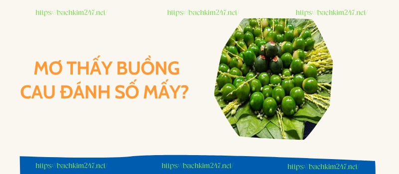 Mơ thấy buồng cau đánh số mấy để trúng thưởng?