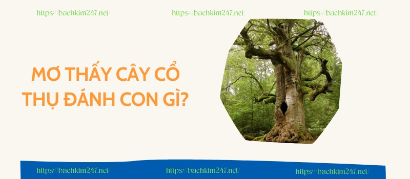 Mơ thấy cây cổ thụ đánh con gì để trúng lớn?