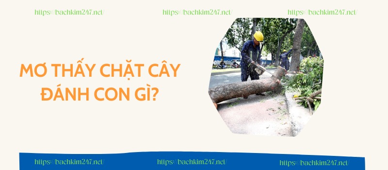 Mơ thấy chặt cây đánh con gì để trúng đề?