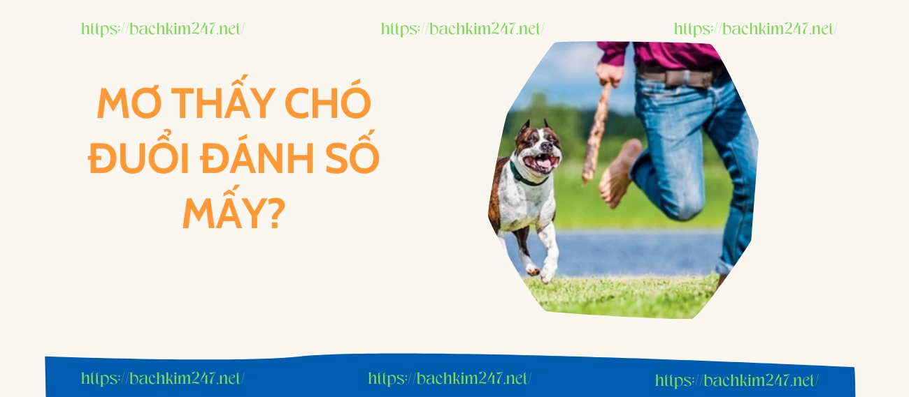 Mơ thấy chó đuổi đánh số mấy? Luận giải những con số may mắn đi kèm