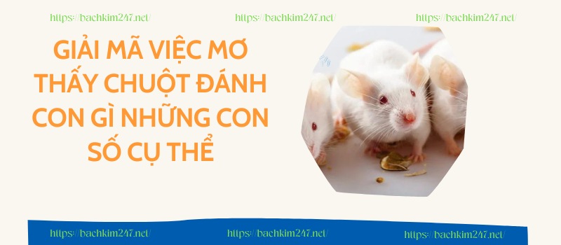 Giải mã việc mơ thấy chuột đánh con gì những con số cụ thể