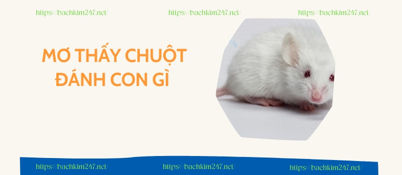 Mơ thấy chuột đánh con gì