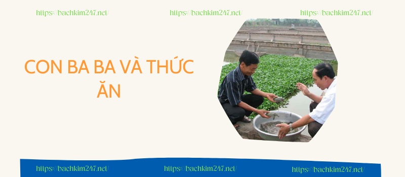 Con ba ba và thức ăn