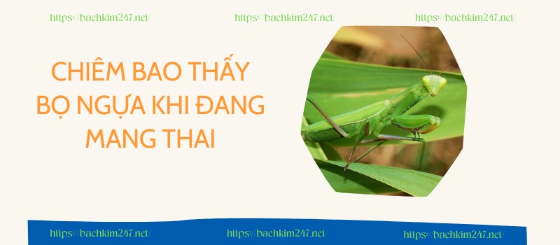 Chiêm bao thấy bọ ngựa khi đang mang thai