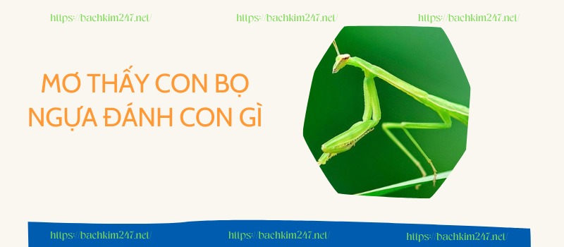  Mơ thấy con bọ ngựa đánh con gì