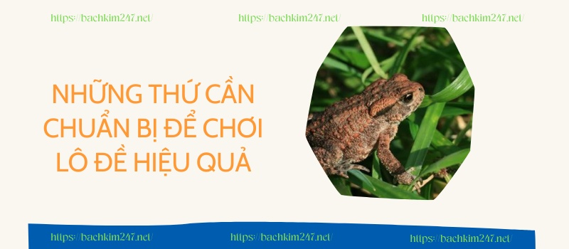 Những thứ cần chuẩn bị để chơi lô đề hiệu quả