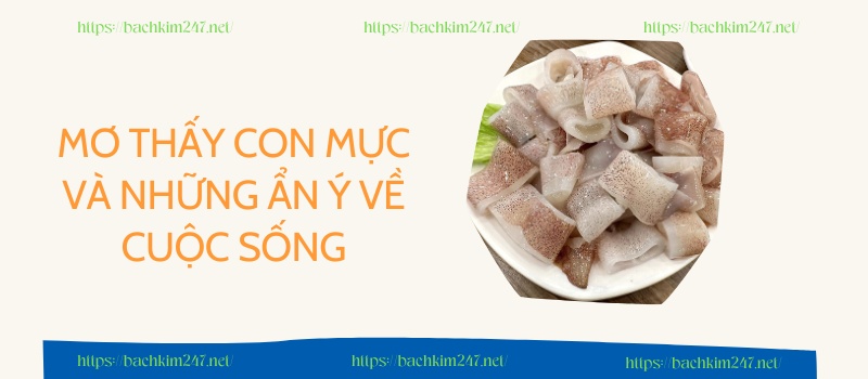 Mơ thấy con mực và những ẩn ý về cuộc sống