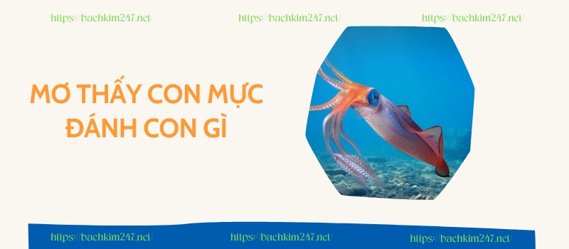 Mơ thấy con mực đánh con gì 