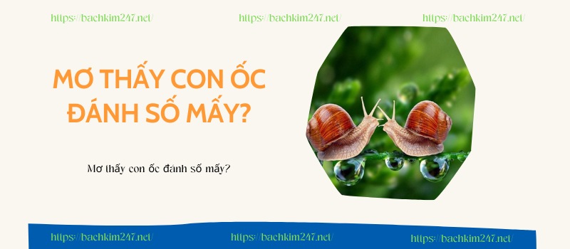 Mơ thấy con ốc đánh số mấy?