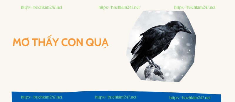 Mơ thấy con quạ đánh số mấy? Đi tìm con số thần tài đẹp nhất