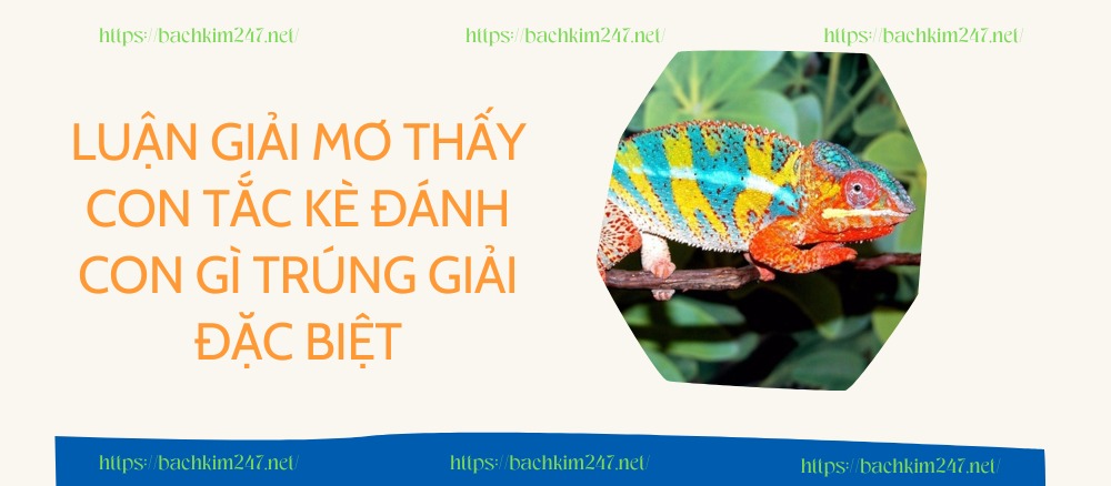 Luận giải mơ thấy con tắc kè đánh con gì trúng giải đặc biệt