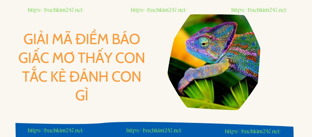 Giải mã điềm báo giấc mơ thấy con tắc kè đánh con gì