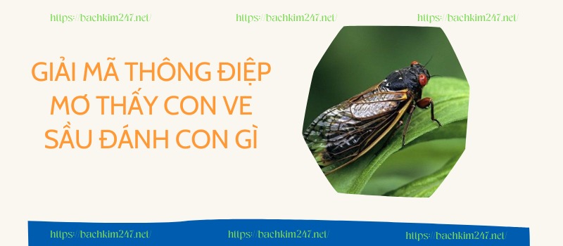 Giải mã thông điệp mơ thấy con ve sầu đánh con gì