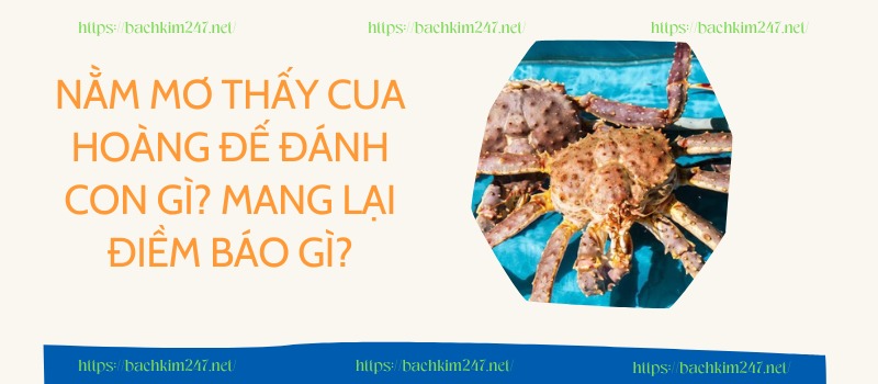 Mơ thấy cua hoàng đế đánh con gì?