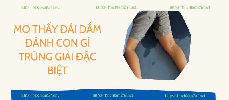 Mơ thấy đái dầm đánh con gì hóa dữ thành hên