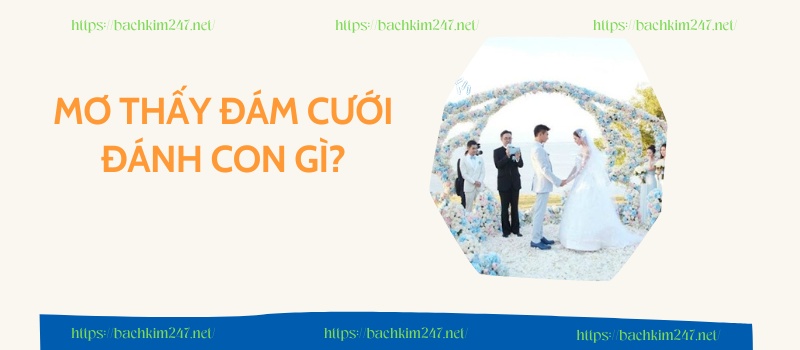 Mơ thấy đám cưới đánh con gì?