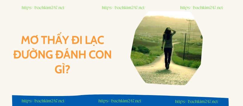 Mơ thấy đi lạc đường đánh con gì 