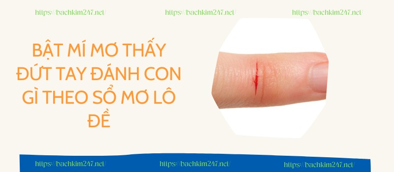 Bật mí mơ thấy đứt tay đánh con gì theo sổ mơ lô đề