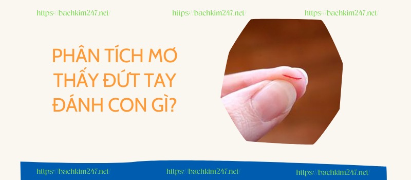 Phân tích mơ thấy đứt tay đánh con gì?