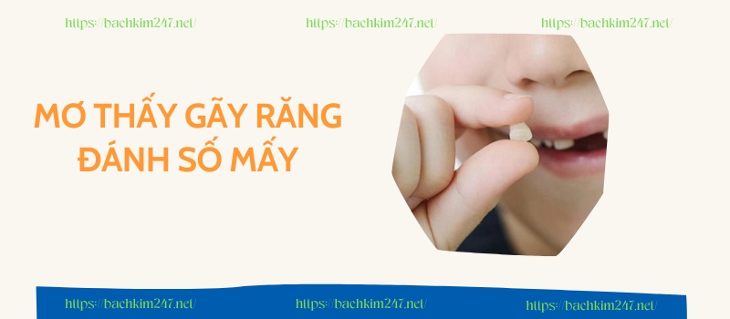 Mơ thấy gãy răng đánh số mấy mang đến tài lộc