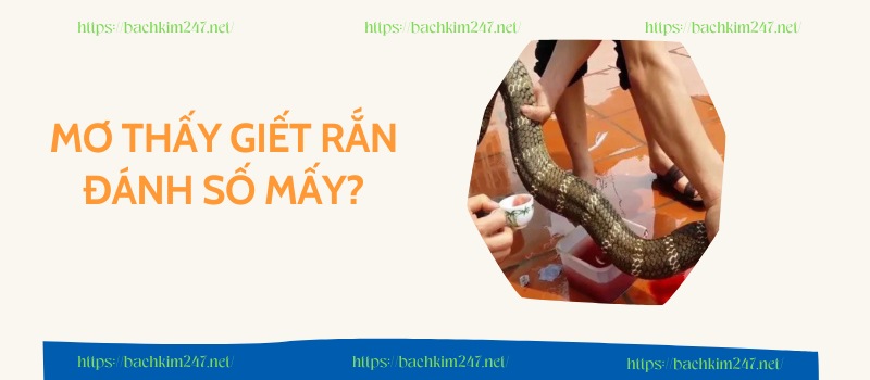 Mơ thấy giết rắn đánh số mấy?