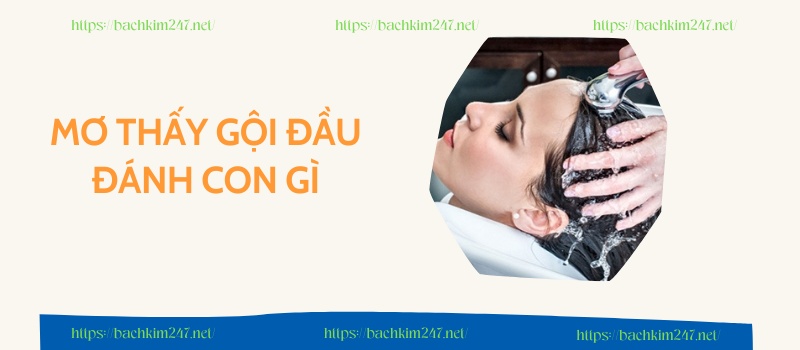 Mơ thấy gội đầu đánh con gì ăn chắc giải đặc biệt