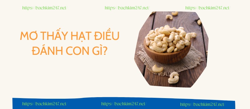 Mơ thấy hạt điều đánh con gì?