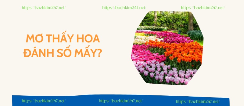 Mơ thấy hoa đánh số mấy? Giải mã giấc mơ thấy hoa