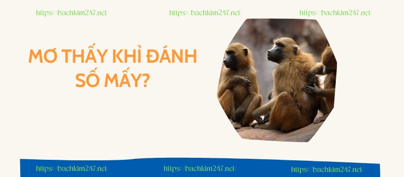 Mơ thấy khỉ đánh số mấy?