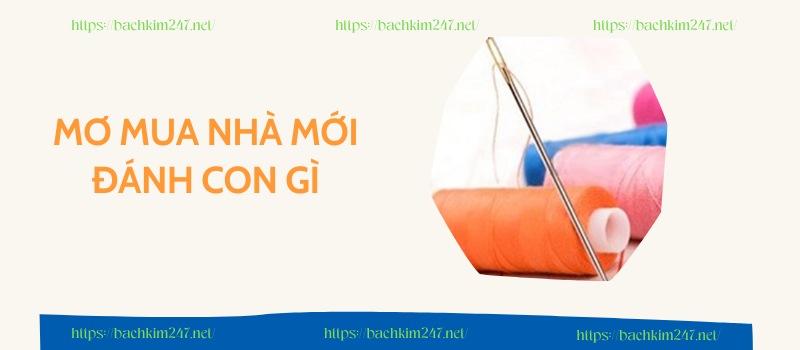 Mơ thấy kim chỉ đánh con gì để trúng đậm?