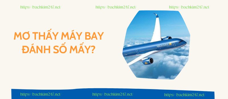 Mơ thấy máy bay đánh số mấy?