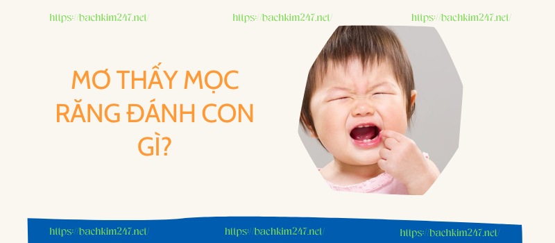 Mơ thấy mọc răng đánh con gì