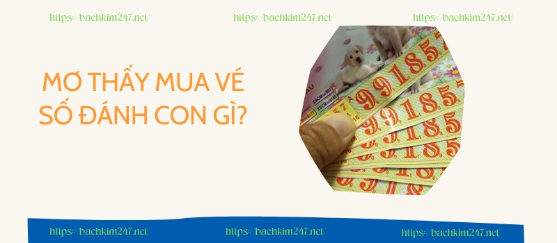 Mơ thấy mua vé số đánh con gì