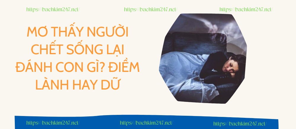 Mơ thấy người chết sống lại đánh con gì? Điềm lành hay dữ