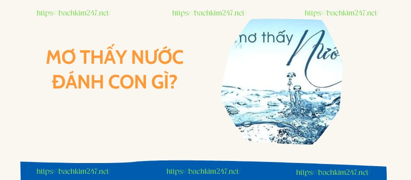 Mơ thấy nước đánh con gì?