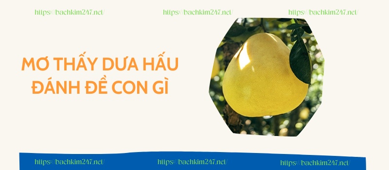 Mơ thấy quả bưởi đánh con gì để phát tài