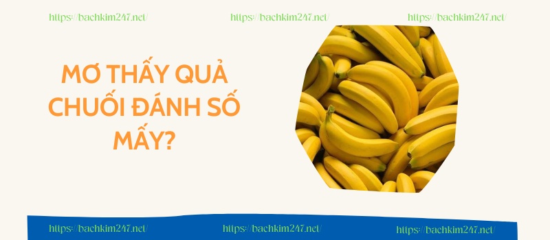 Mơ thấy quả chuối đánh số mấy? Luận giải chiêm bao thấy quả chuối