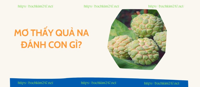 Mơ thấy quả na đánh con gì?