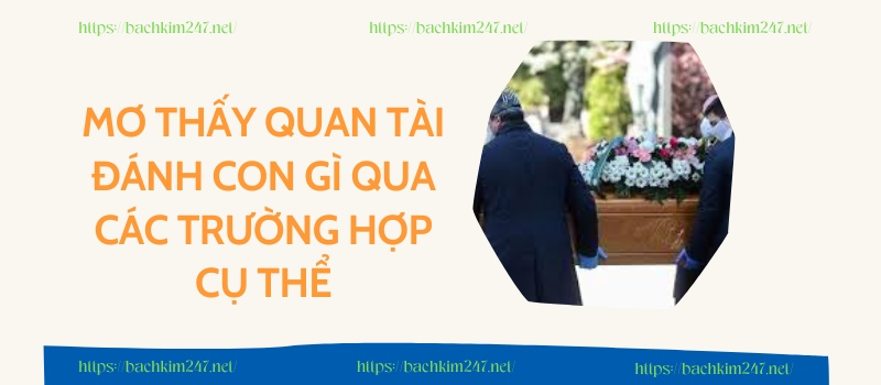 Mơ thấy quan tài đánh con gì qua các trường hợp cụ thể