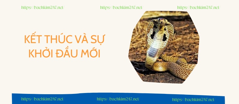 Kết thúc và sự khởi đầu mới