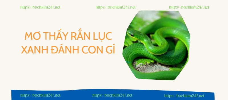 Mơ thấy rắn lục xanh đánh con gì nhanh giàu